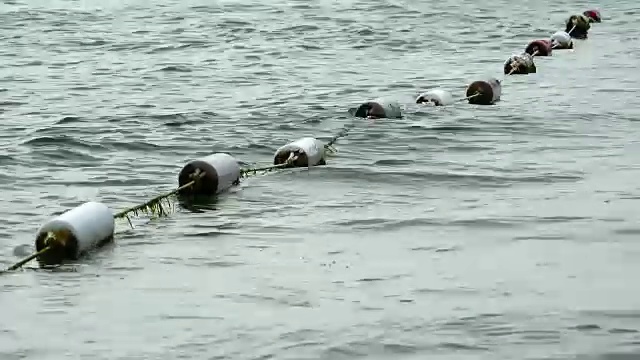 海面上有浮标屏障，保护人们不受船只伤害视频素材