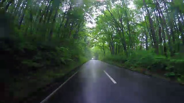 在热带雨林的乡村公路上行驶视频素材