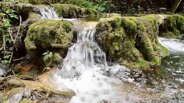 水在雨林里的一条小河里流动。视频下载