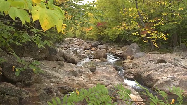 近距离观察:在秋天，山间的河流如瀑布般流过落叶林视频素材