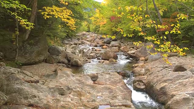 近距离观察:山河溅在美丽的秋天树叶森林的岩石上视频素材