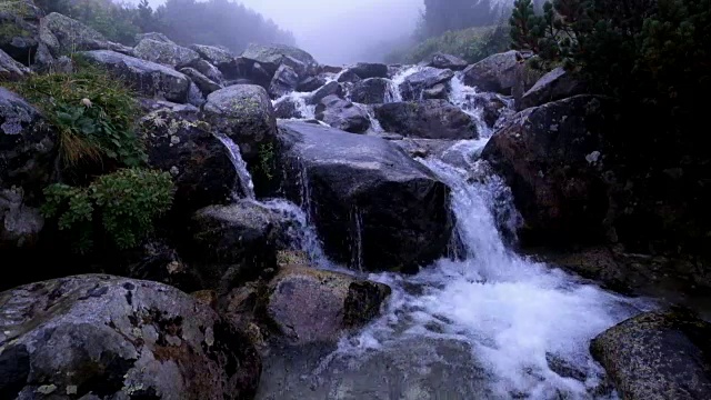 在有雾的日子里，山溪从岩石上流过视频素材