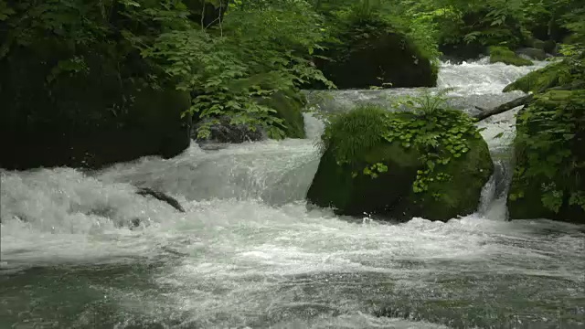 中景:日本青森市磐濑溪清澈而冰冷的水流视频素材