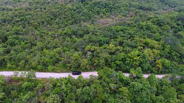 穿过森林的道路鸟瞰图。视频素材