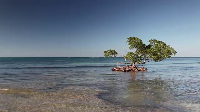 卡约朱蒂亚斯海滩视频素材