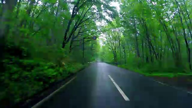 在热带雨林的乡村公路上行驶视频素材