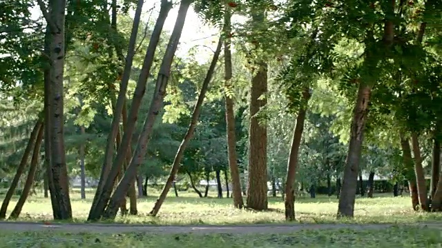 《在公园里奔跑的女人视频素材