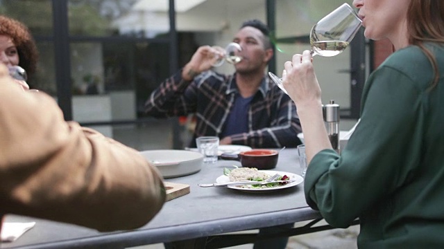 一群成年人朋友在户外用餐品尝白葡萄酒视频素材