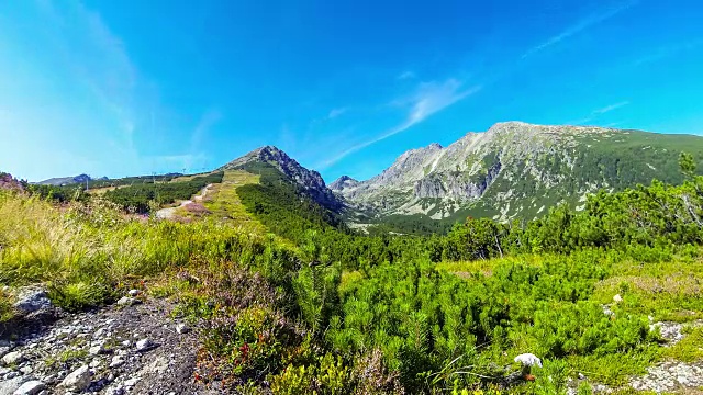 风景如画的夏天，高塔特拉斯山，斯洛伐克视频素材