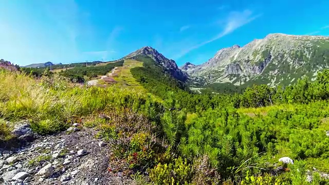 风景如画的夏天，高塔特拉斯山，斯洛伐克视频素材