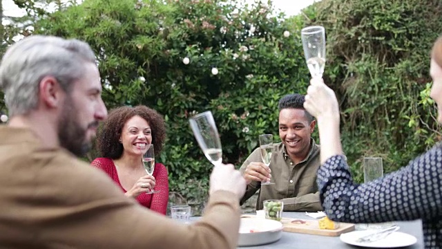 成年朋友在户外用餐并敬酒视频素材