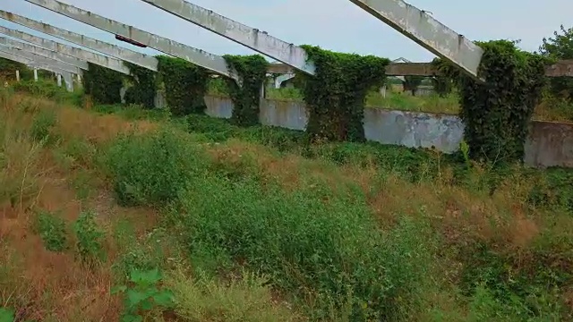 夏天田野里废弃的旧建筑视频素材