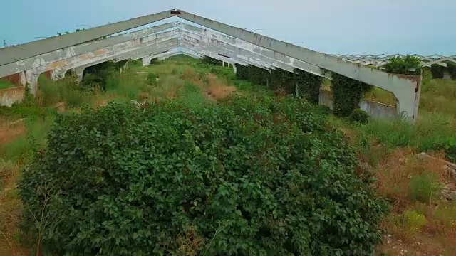 夏天田野里废弃的旧建筑视频素材