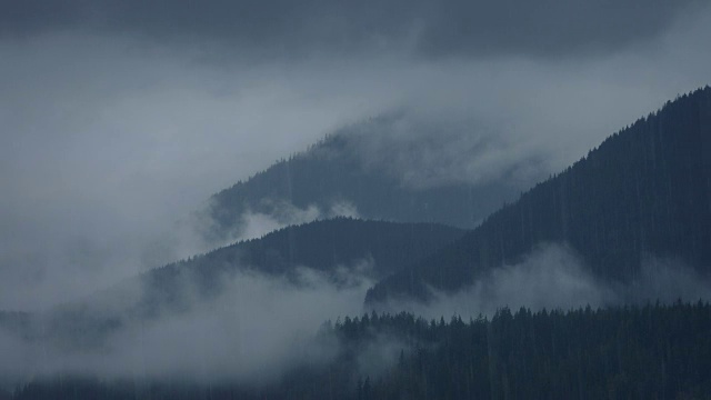 雨中云雾野山视频素材