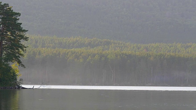 美丽的池塘与树木和从天空的倒影。明亮的秋天树木和它的反射在傍晚的阳光。秋天森林湖泊天空视频素材