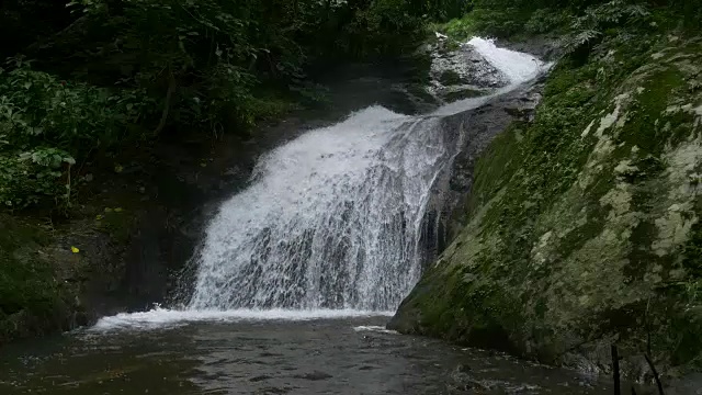 一个小瀑布的特写，从流动的河流在热带森林与声音视频下载