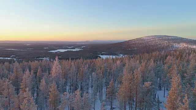 空中特写:在日落时分飞过白雪覆盖的冬季森林里的松树顶视频素材