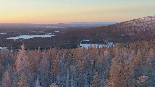 空中眩晕:在夕阳下飞过冰雪覆盖的松树顶视频素材