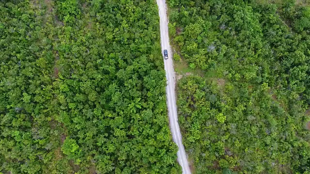 穿过森林的道路鸟瞰图。视频素材