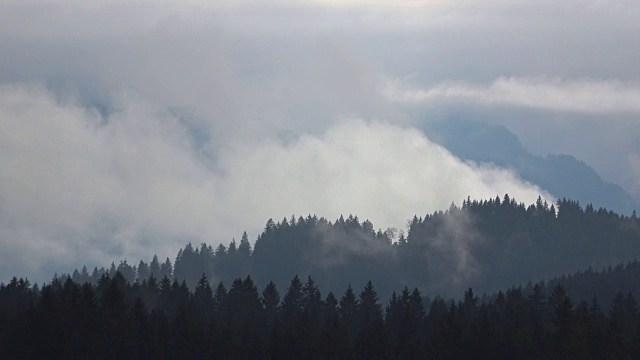 山地森林上空的云，雾，云景，时间流逝，阿尔卑斯山，巴伐利亚，4K视频素材