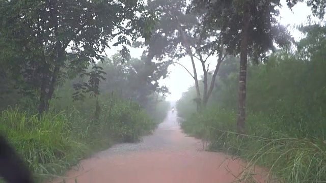 在雨中开车视频素材