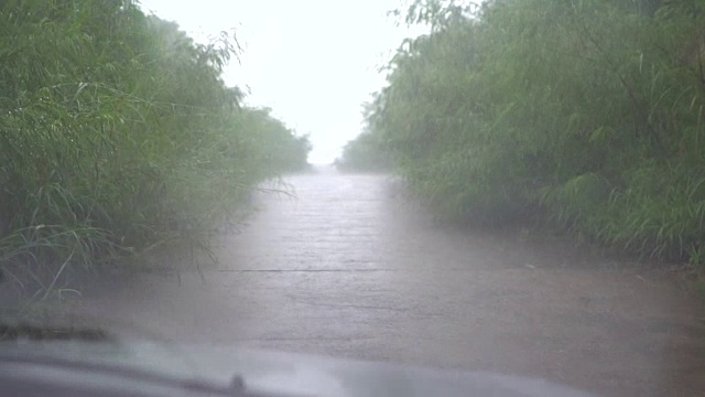 在雨中开车视频素材