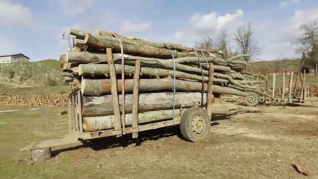 非法Disforestation。木材采伐木材工业或木制房屋建设概念。大木材堆锯去皮松木原木视频素材