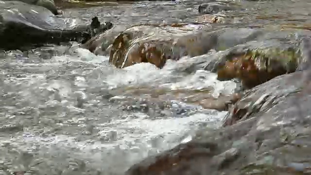 水在天然小溪中潺潺流过卵石视频下载