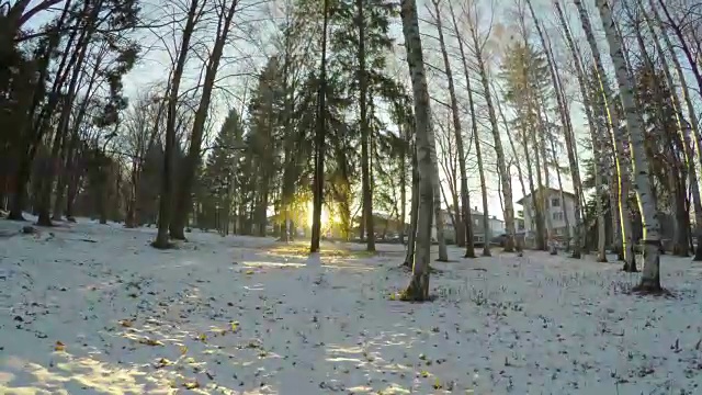 在日落时移动一堆被雪覆盖的树。美丽的冬天全景视频素材