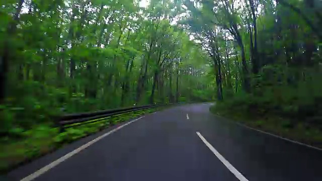 在雨中驾驶乡间小路视频素材