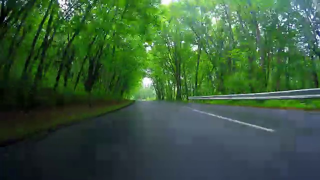 在雨中驾驶乡间小路视频素材