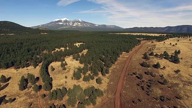 美国亚利桑那州汉弗莱峰路国家森林公园视频素材