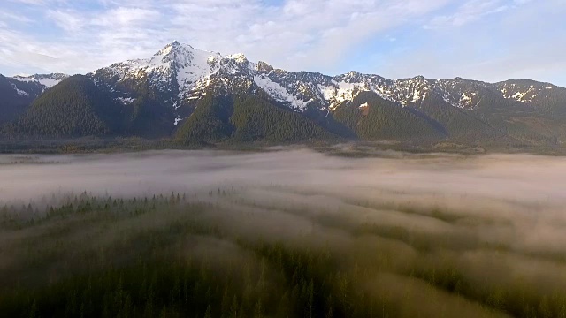 白马山喀斯喀特山脉、巨石河荒野、贝克斯诺夸尔米国家森林视频素材