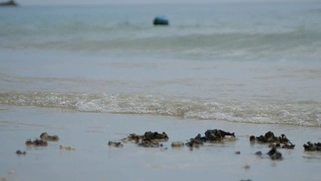 海滩上的波浪视频素材