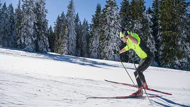 职业越野赛滑雪者沿着森林滑上山视频素材