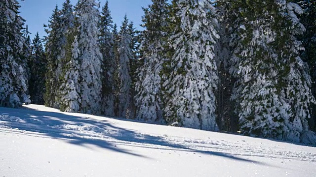 专注于越野滑雪者滑雪上山视频素材