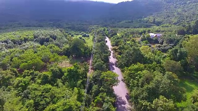 汽车行驶在布满树木的道路上，从无人机上取下。视频素材