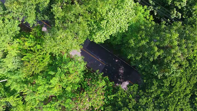 汽车行驶在布满树木的道路上，从无人机上取下。视频素材