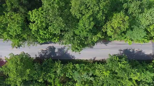 汽车行驶在布满树木的道路上，从无人机上取下。视频素材