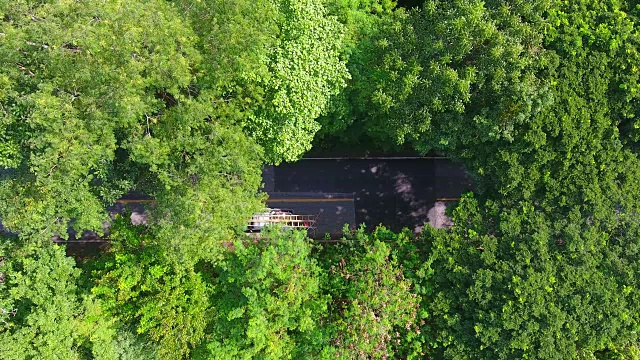 汽车行驶在布满树木的道路上，从无人机上取下。视频素材