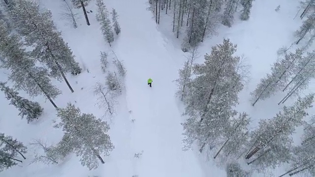 航拍:一个不认识的人走在白雪覆盖的路上穿过神秘的森林视频素材