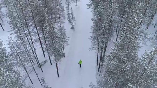 在北方的冬天，人们走在雪地里的森林里视频素材