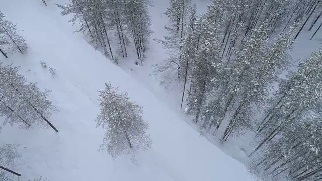 空中行走的人在冬天的森林荒野里沿着积雪的公路行走视频素材