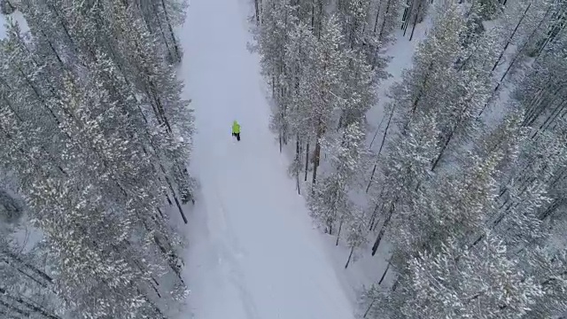 航拍:在芬兰，一个无法辨认的人走在森林里的雪路上视频素材