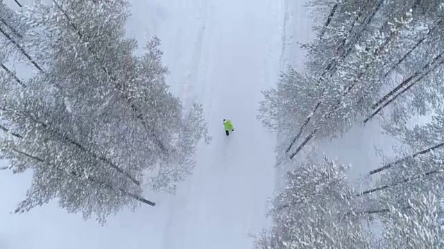 航拍:在芬兰的冬天，一名女子走在雪地里的森林里视频素材