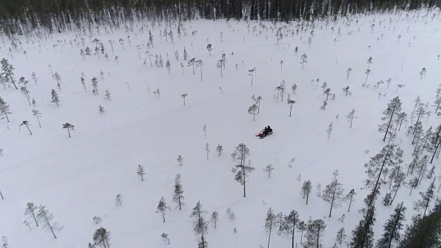 近景:人们驾驶着雪上摩托穿梭在茂密的山上的雪树之间视频素材