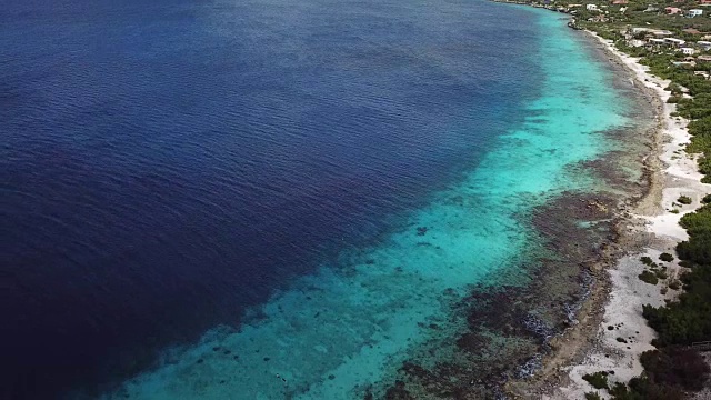 海滩海岸博内尔岛加勒比海视频视频素材