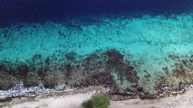 海滩海岸博内尔岛加勒比海视频视频素材