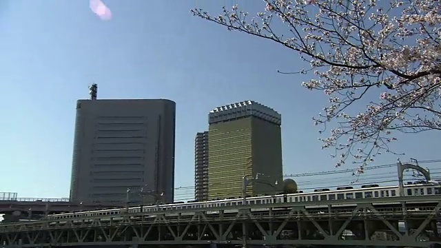 樱花和东京天空树，日本视频素材