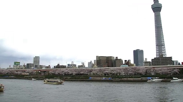 日本住田河的东京天空树和Yakatabune视频素材